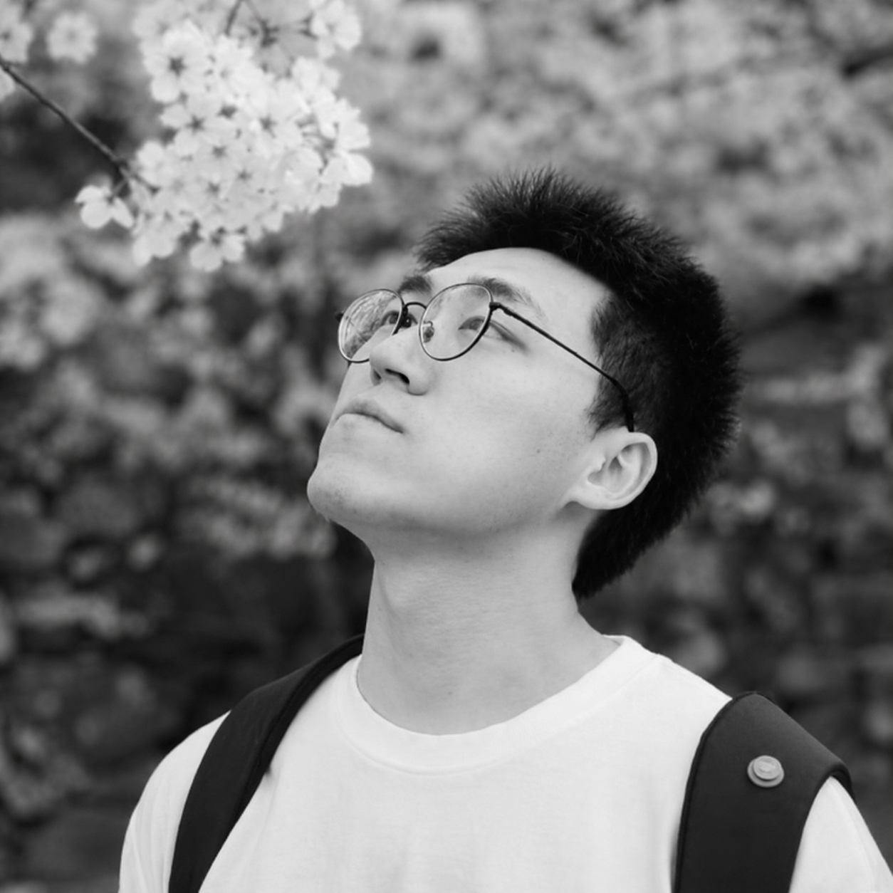 Junwei Yu